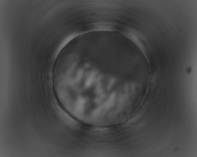 X0000091551243200708311347