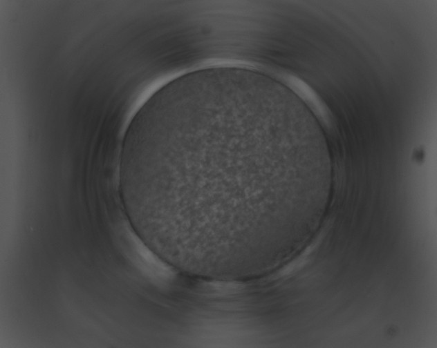 X0000091551244200708311347