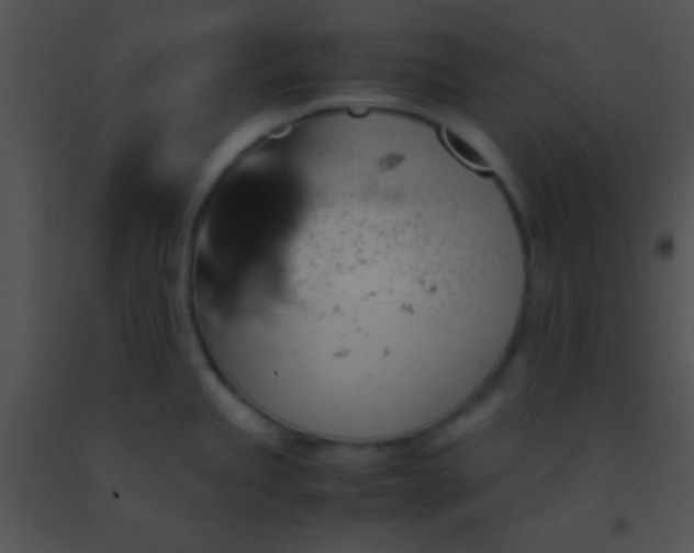 X0000091551245200708311347