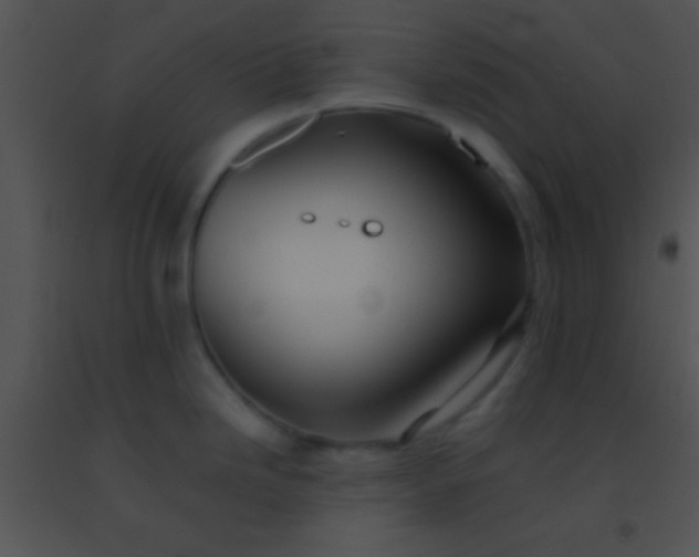 X0000091551246200708311347