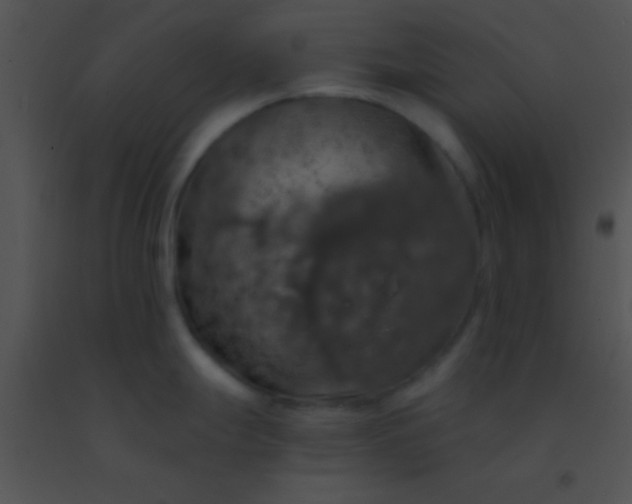 X0000091551247200708311347