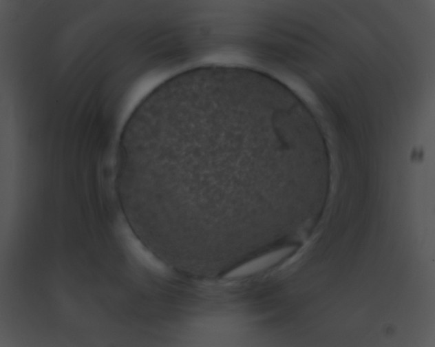 X0000091551248200708311347