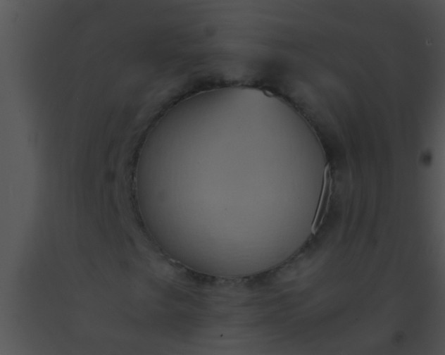 X0000091551249200708311347