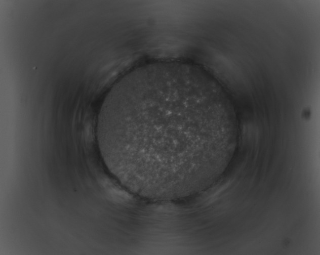 X0000091551250200708311347