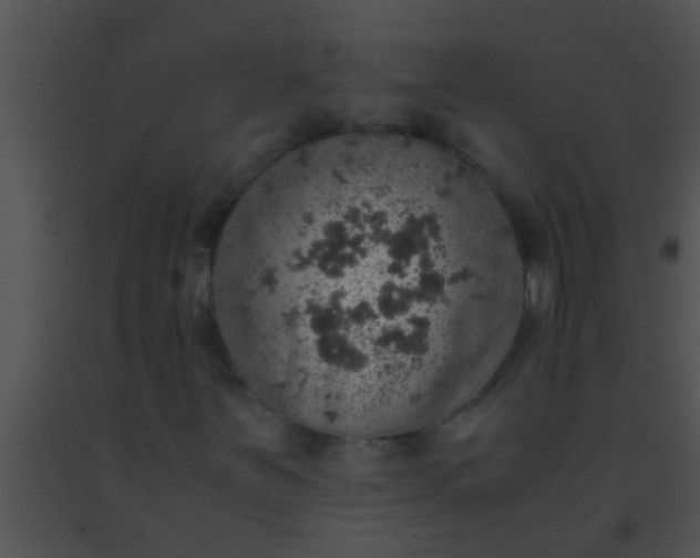 X0000091551251200708311347