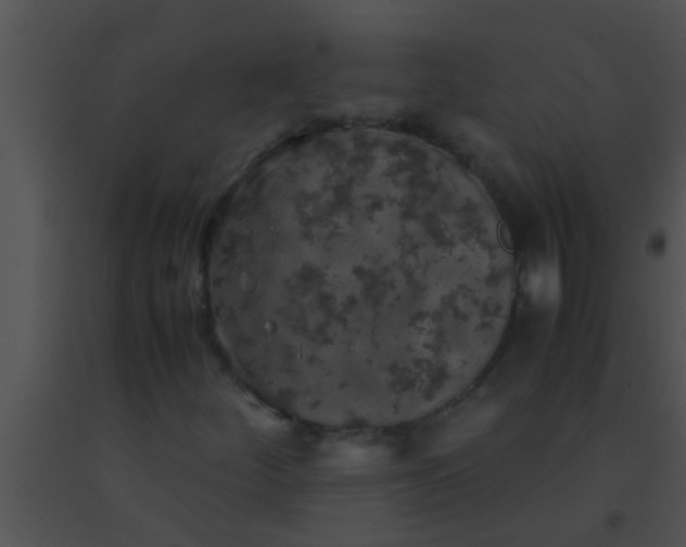X0000091551252200708311347