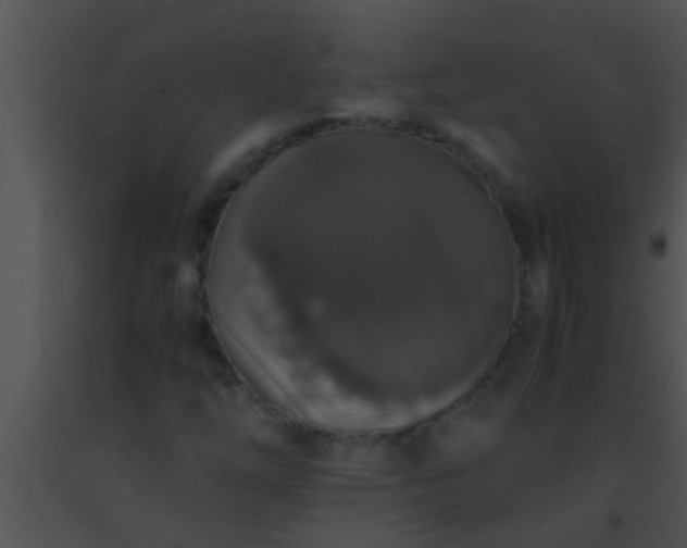 X0000091551254200708311347
