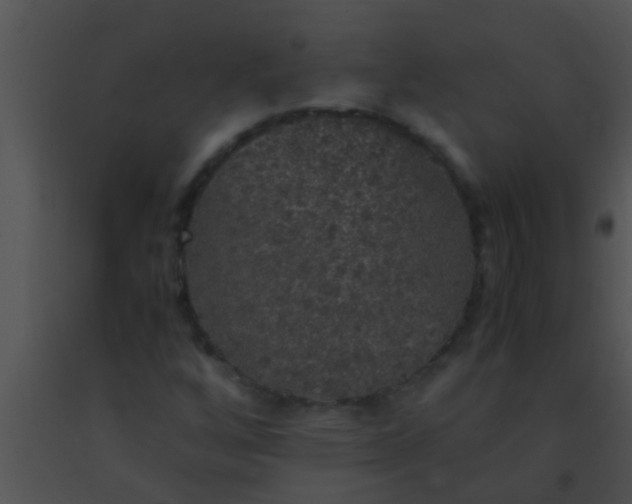 X0000091551256200708311347