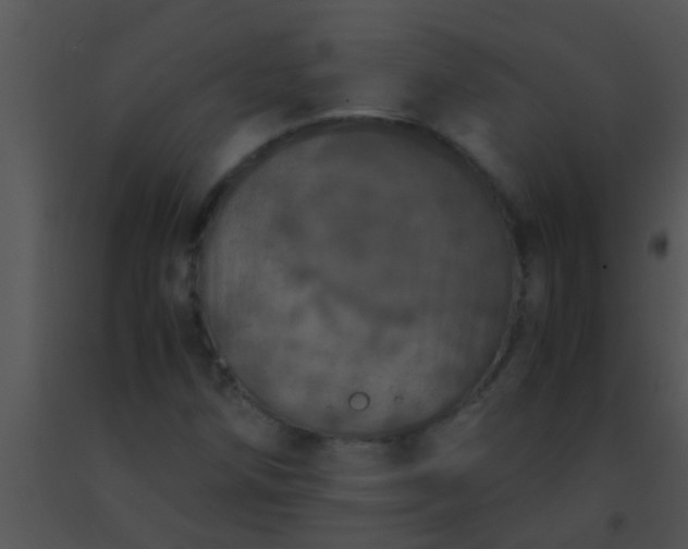 X0000091551258200708311347