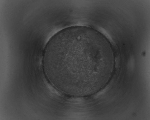 X0000091551260200708311346