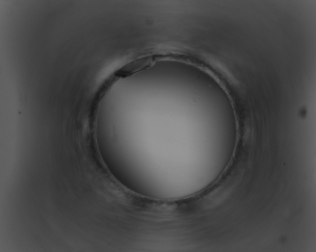 X0000091551261200708311346