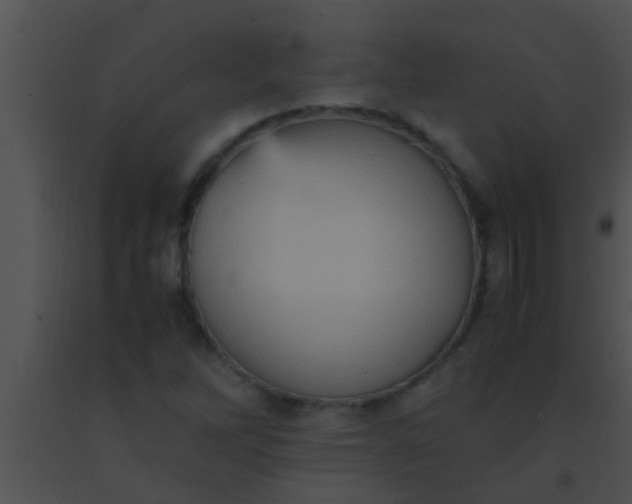 X0000091551262200708311346