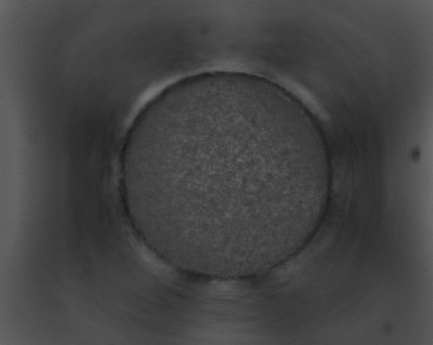 X0000091551264200708311346