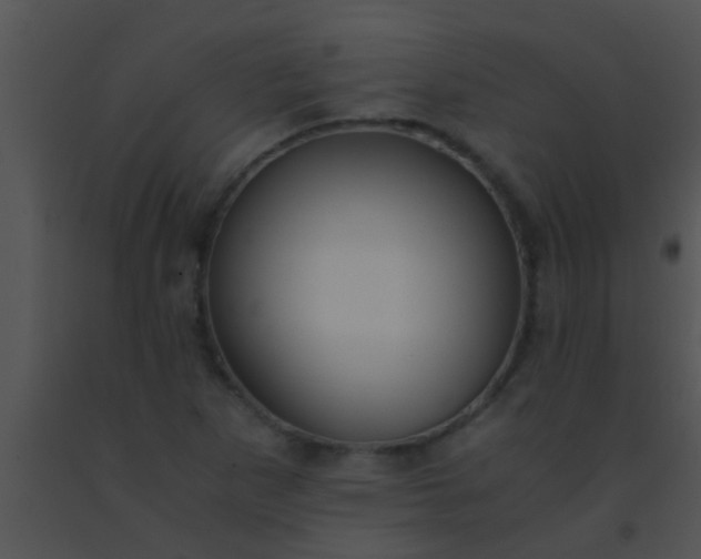 X0000091551265200708311346