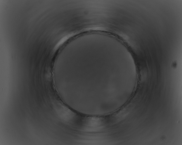 X0000091551266200708311346