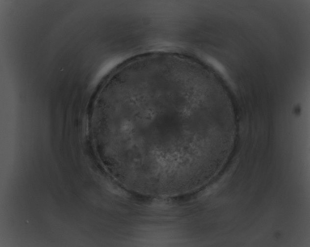 X0000091551267200708311346