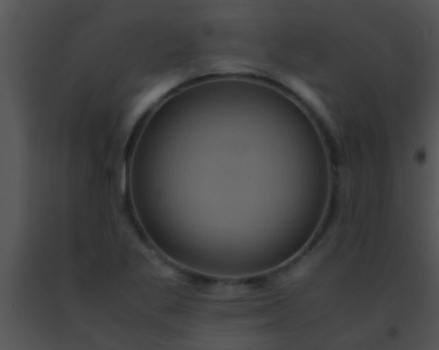X0000091551269200708311346