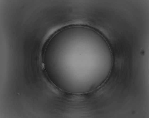 X0000091551270200708311346