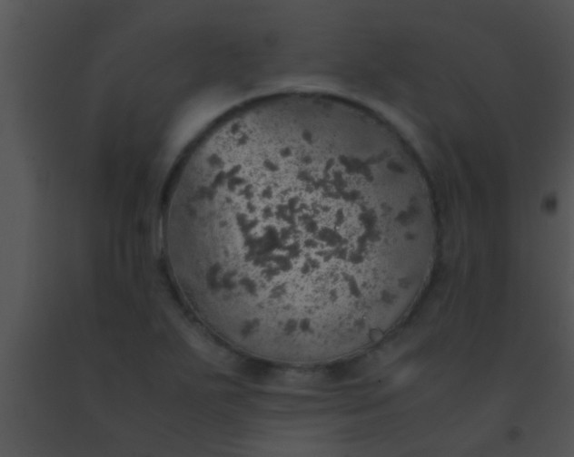 X0000091551271200708311346