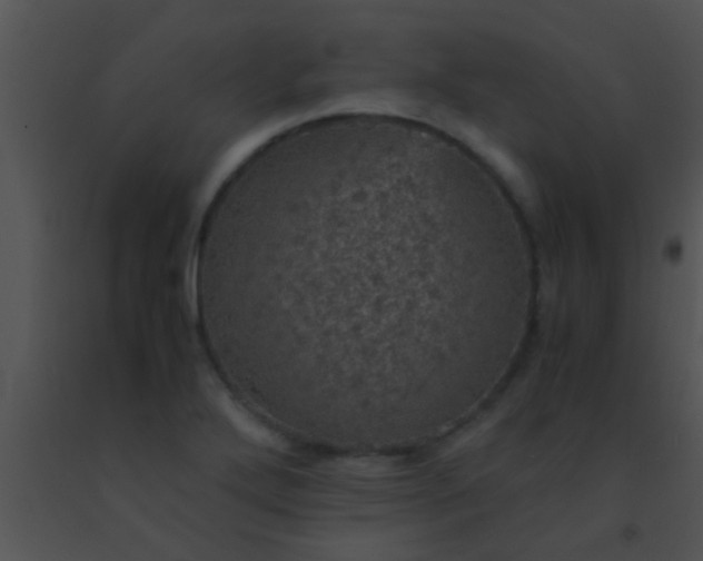 X0000091551272200708311346