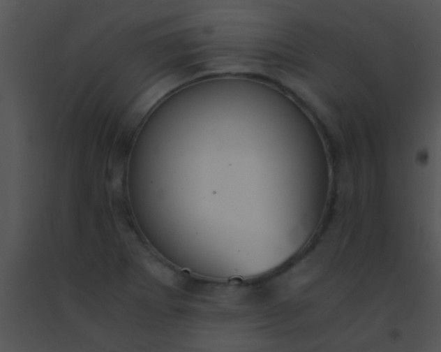 X0000091551273200708311346