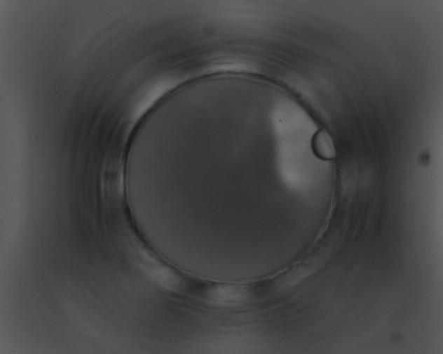 X0000091551274200708311346