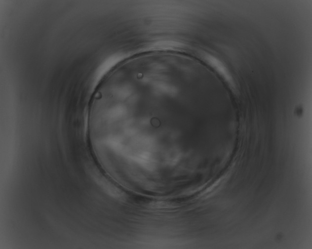 X0000091551275200708311346