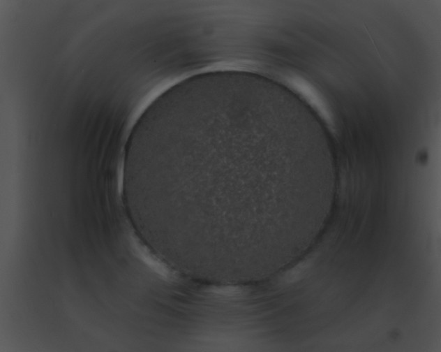 X0000091551276200708311346