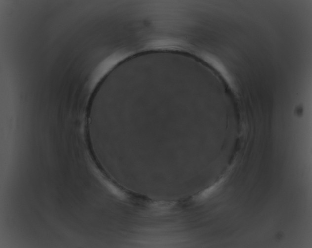 X0000091551277200708311346