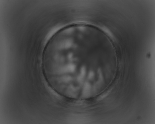 X0000091551279200708311346