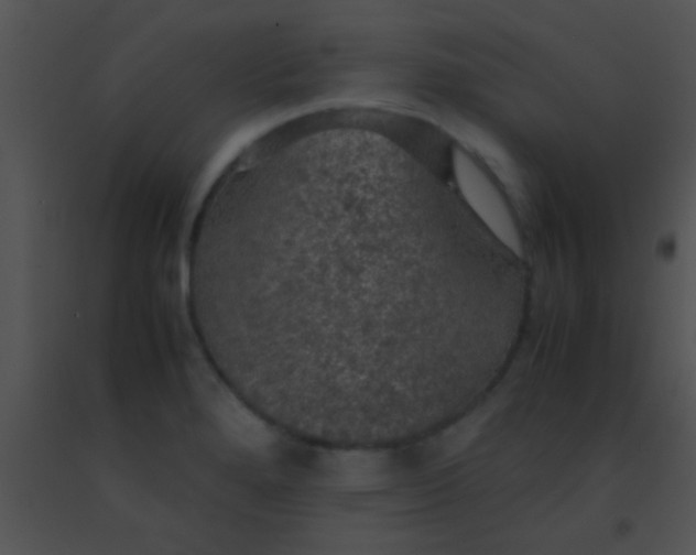 X0000091551280200708311346