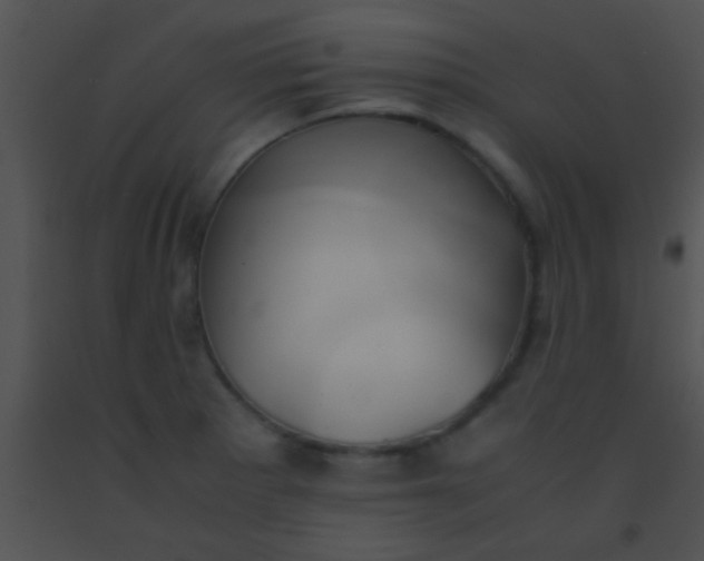 X0000091551281200708311346