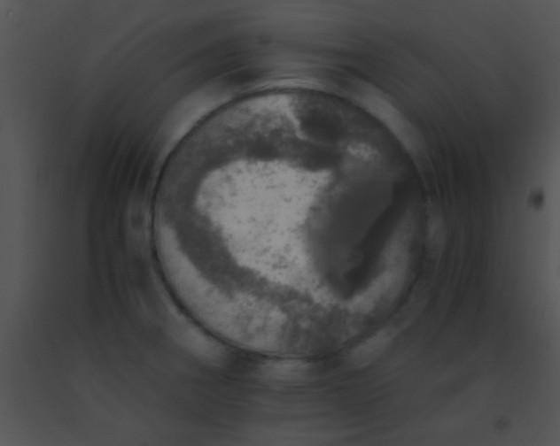 X0000091551282200708311346