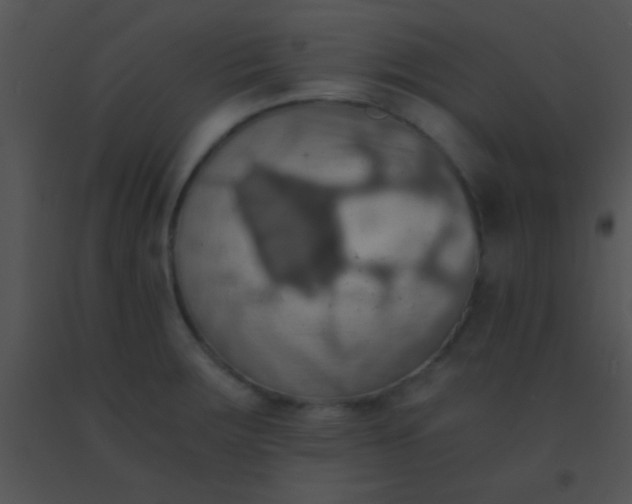 X0000091551283200708311346