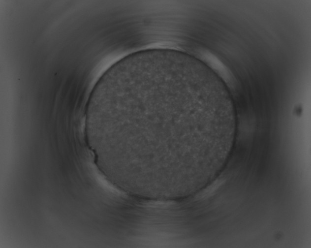 X0000091551284200708311346
