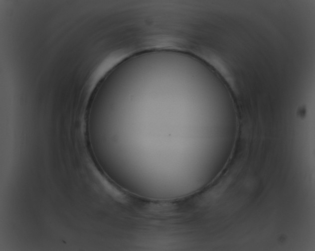 X0000091551285200708311346