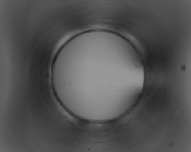 X0000091551286200708311346