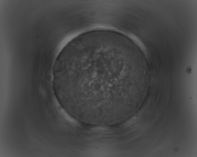 X0000091551287200708311346