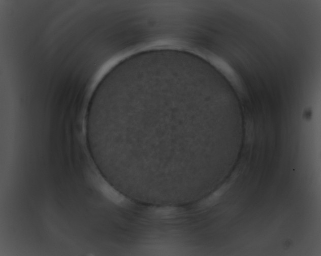 X0000091551288200708311346