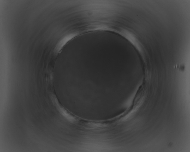 X0000091551289200708311346