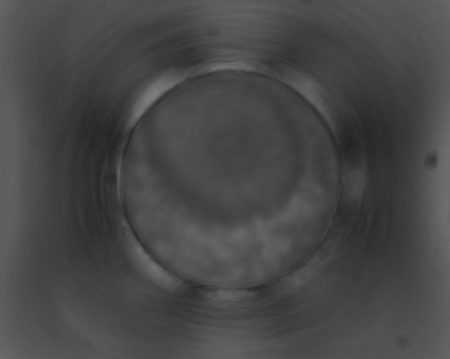 X0000091551290200708311346