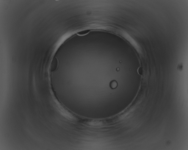 X0000091551291200708311346