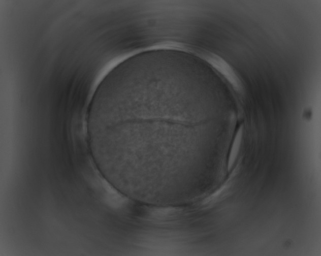 X0000091551292200708311346