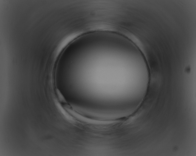 X0000091551293200708311346