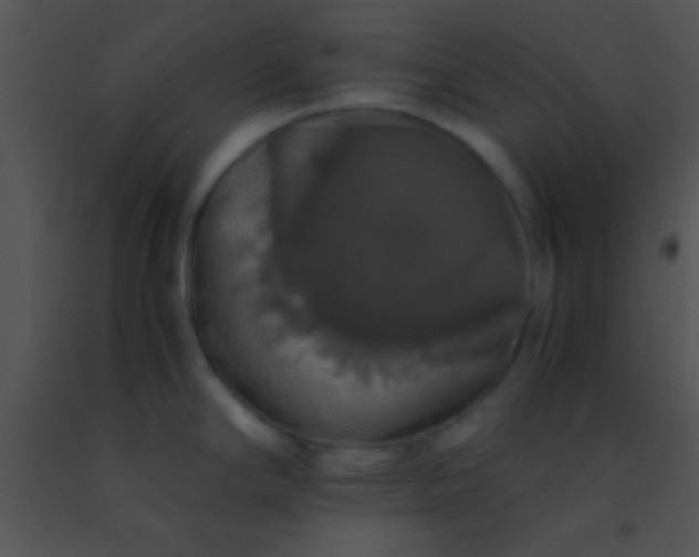 X0000091551294200708311346