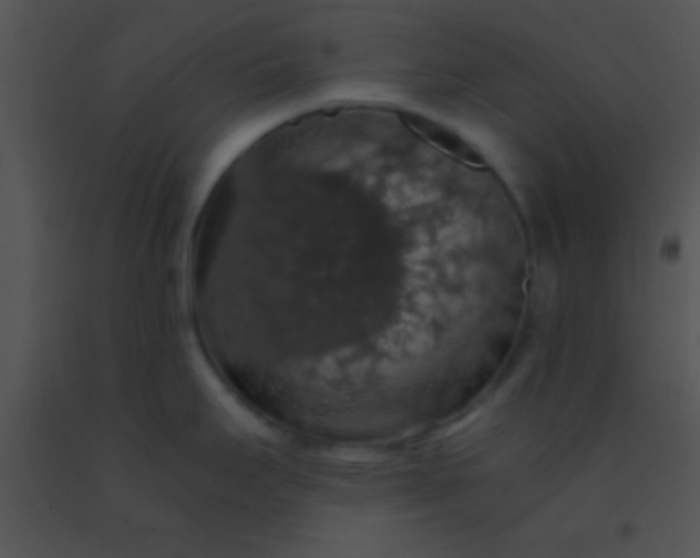 X0000091551295200708311346