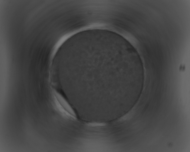 X0000091551296200708311346