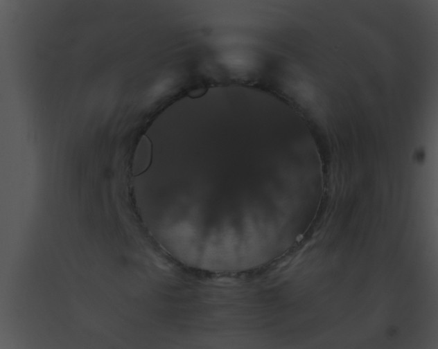 X0000091551297200708311345