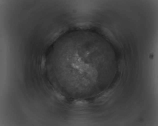 X0000091551298200708311345