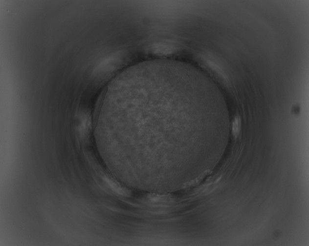 X0000091551299200708311345